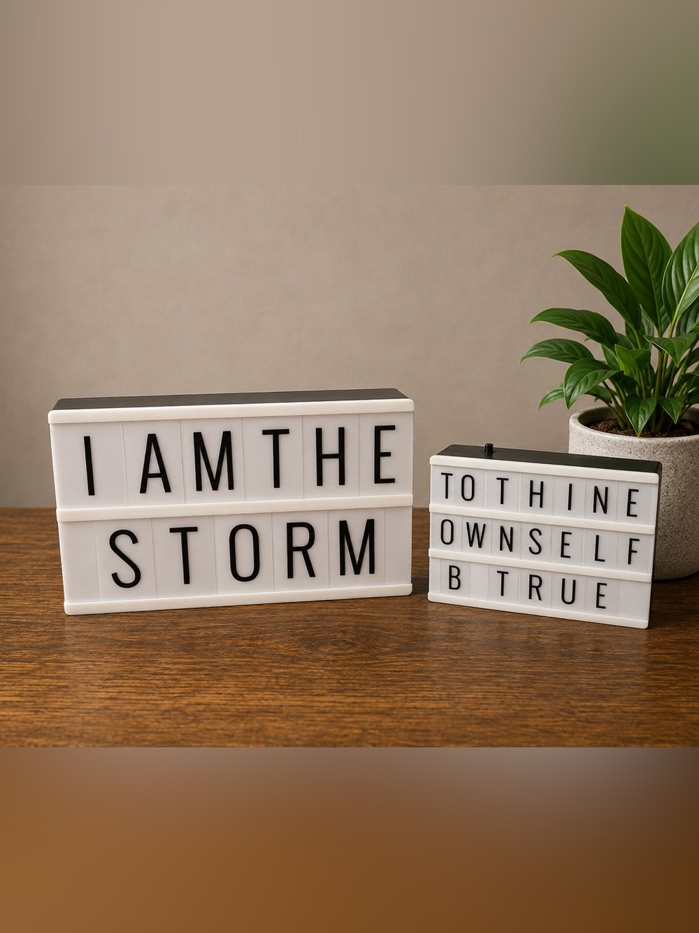 Light boxes (1)